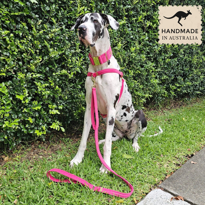 Hot Pink Luxury Velvet Lead