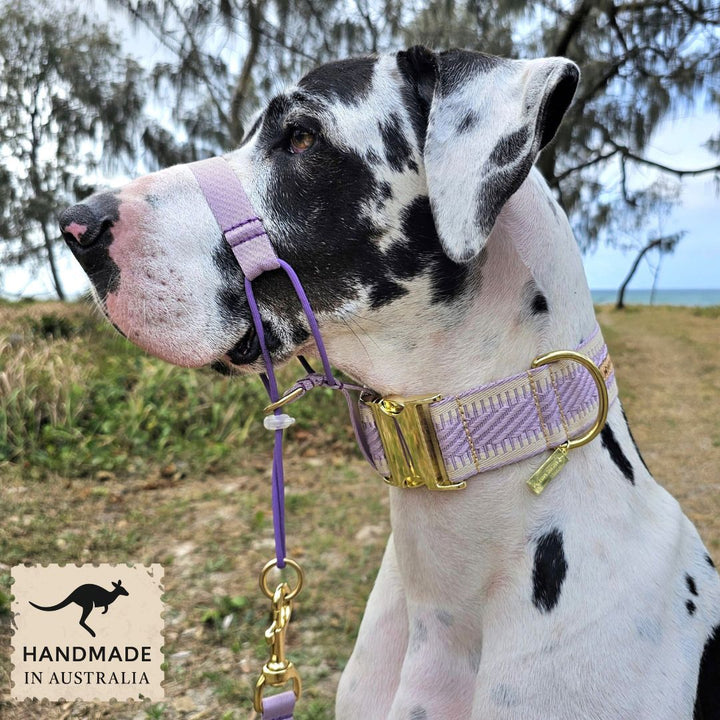Lavender Adventure Head Halter Attachment