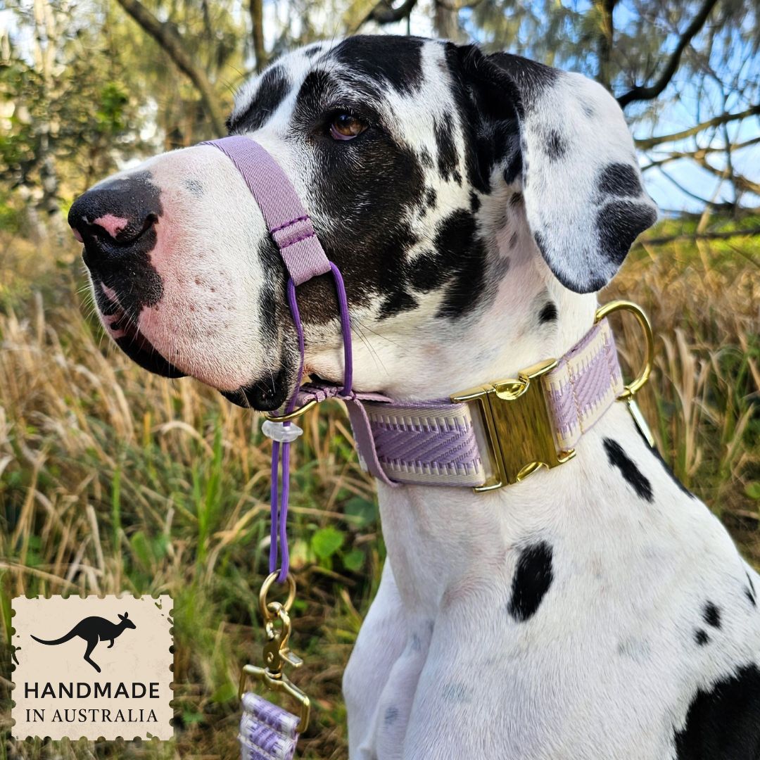 Lavender Adventure Head Halter Attachment