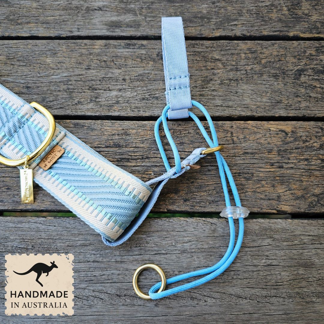 Sky Blue Adventure Head Halter Attachment
