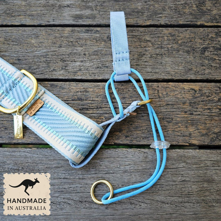 Sky Blue Adventure Head Halter Attachment