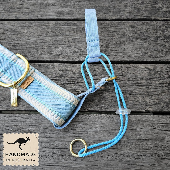 Sky Blue Adventure Head Halter Attachment