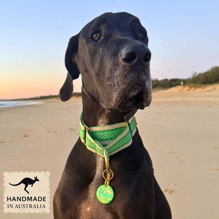 Emerald Green St Tropez Martingale Collar