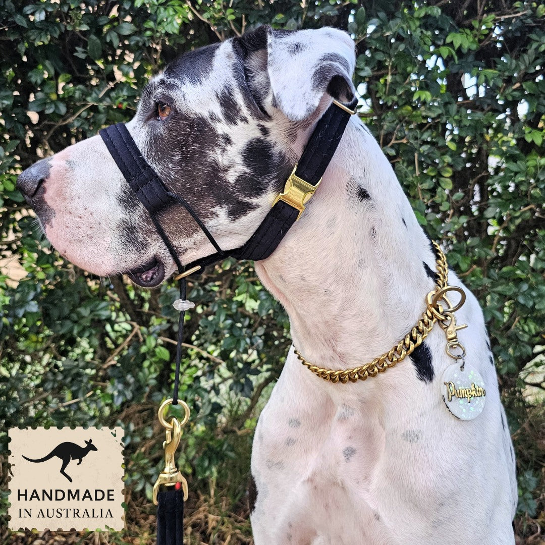 Black Luxury Velvet Complete Training Halter