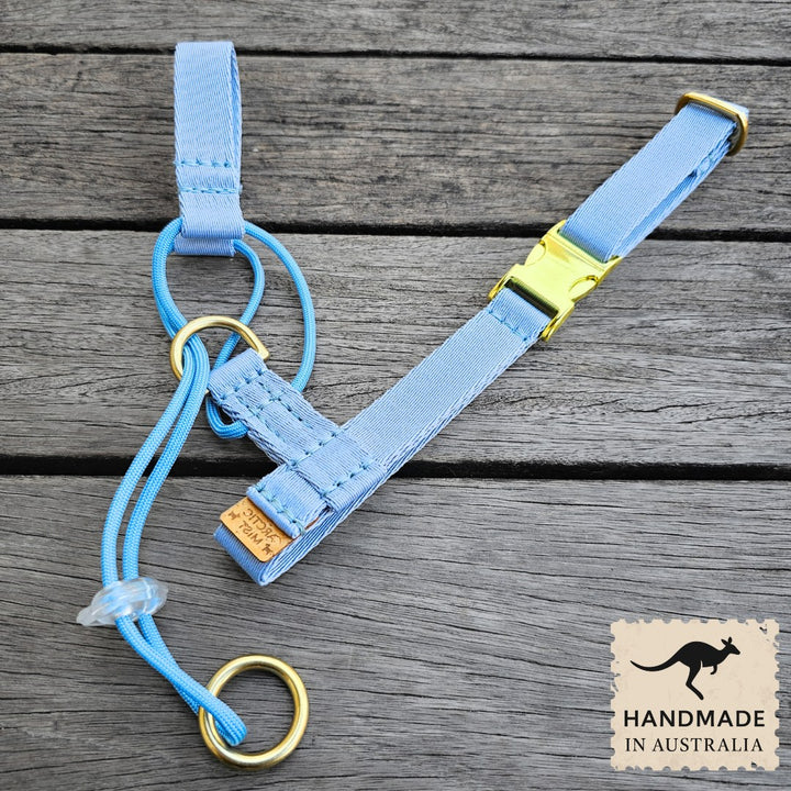 Sky Blue Complete Adventure Training Halter (Sample)