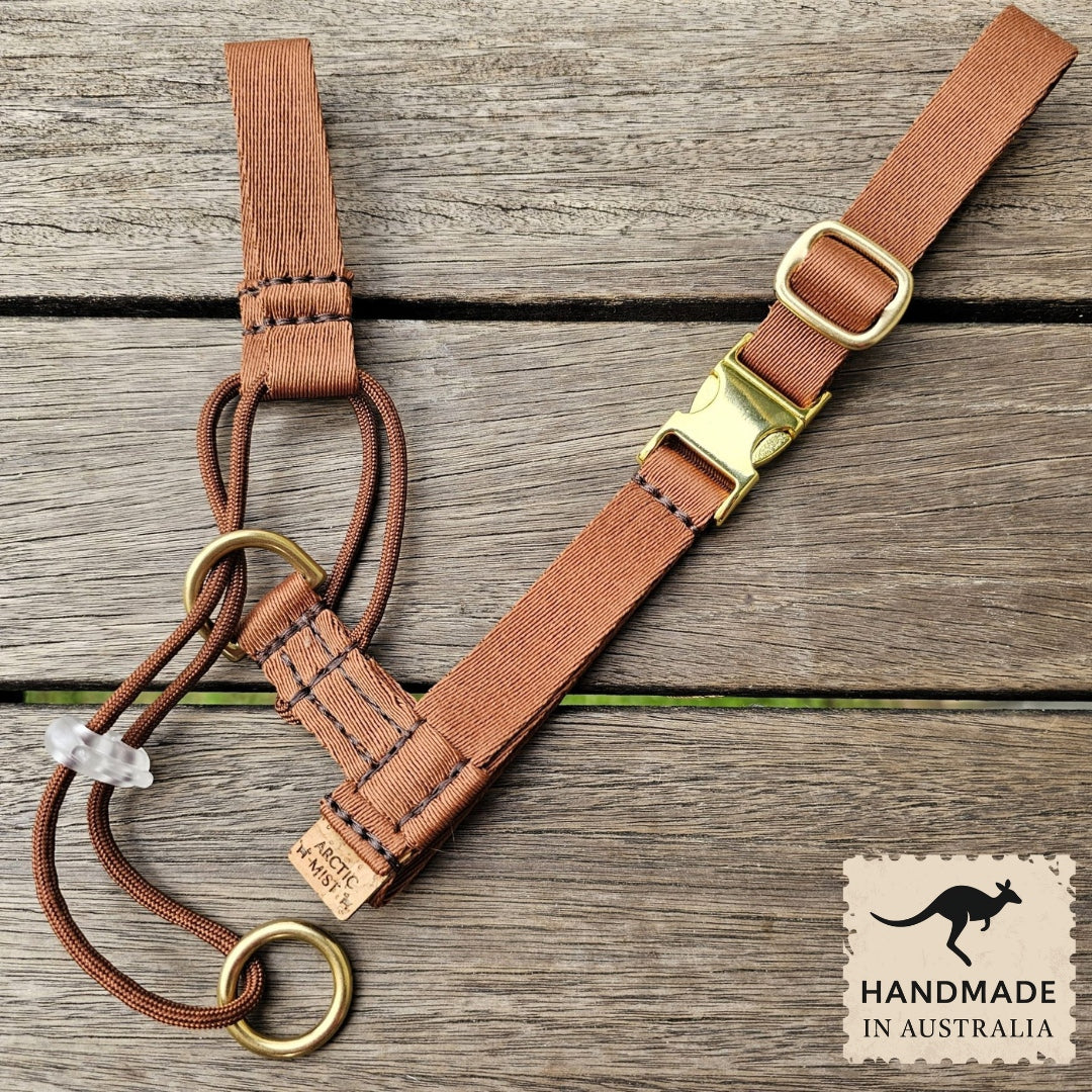 mocha mousse chocolate brown dog training head halter halti