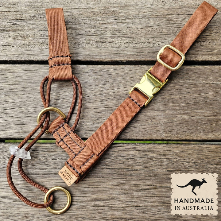 mocha mousse chocolate brown dog training head halter halti