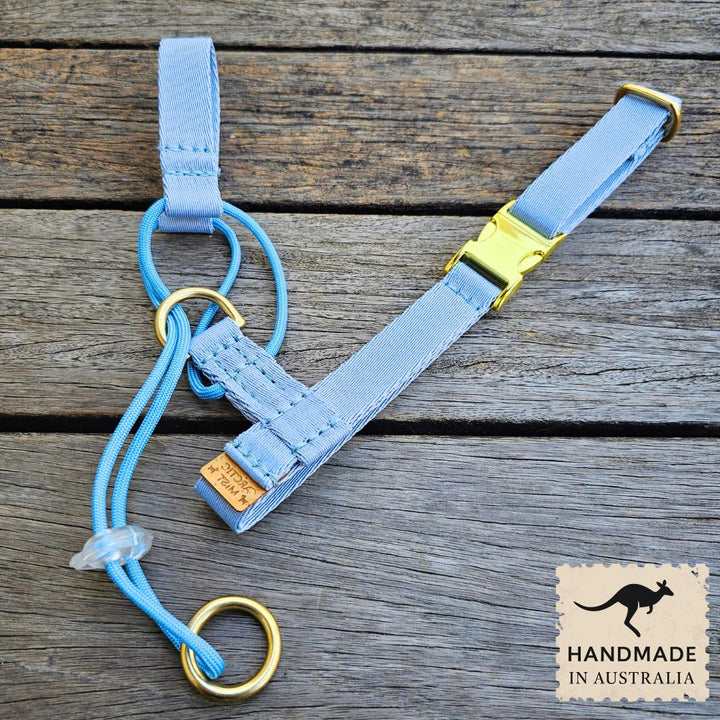 Sky Blue Complete Adventure Training Halter