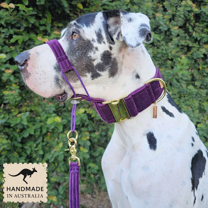 Midnight Plum Luxury Velvet Head Halter Attachment