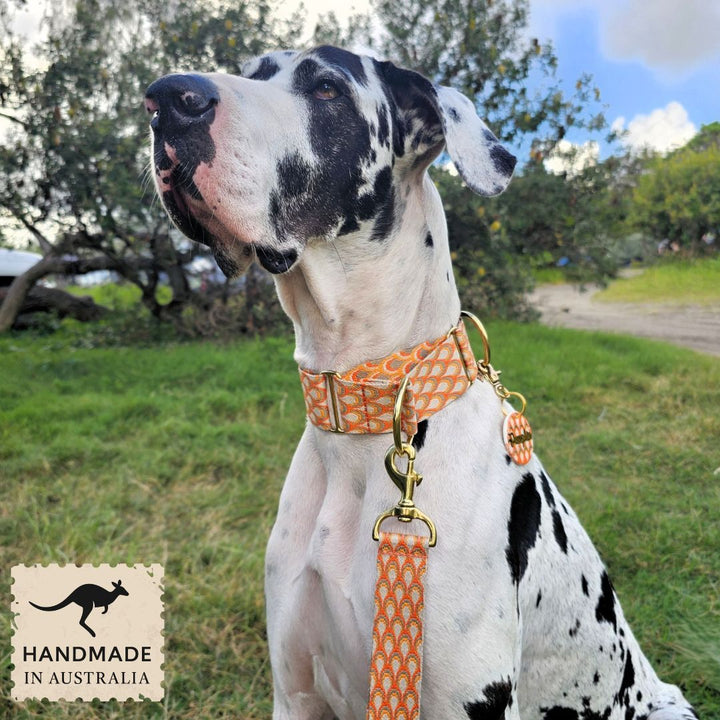 Tangerine Sunset Monte Carlo Martingale Collar