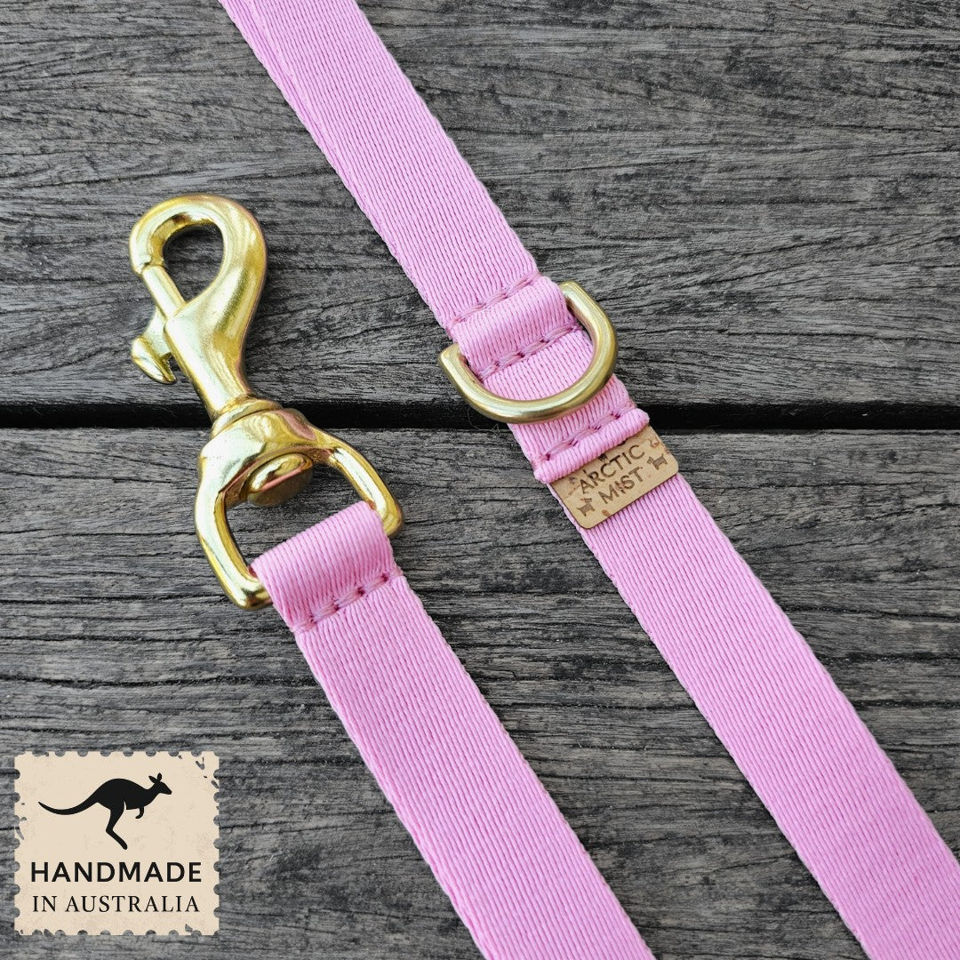 Candy Pink Adventure Lead