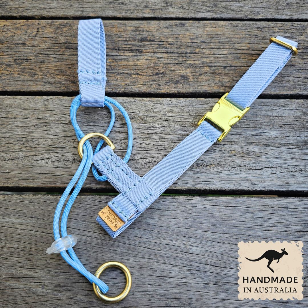 Sky Blue Complete Adventure Training Halter