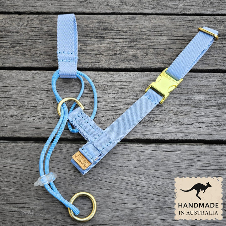 Sky Blue Complete Adventure Training Halter