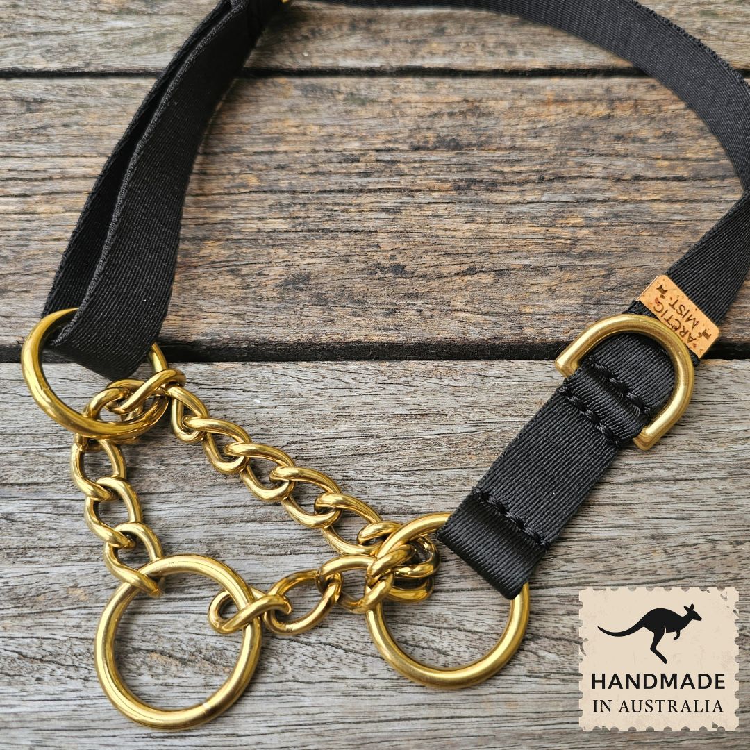 Noir Adventure Chain Martingale Collar