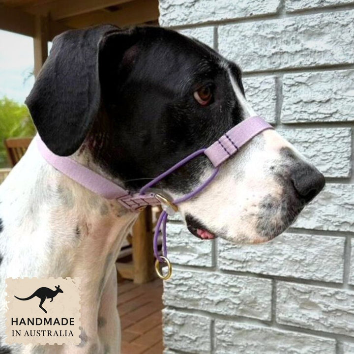 Lavender Complete Adventure Training Halter