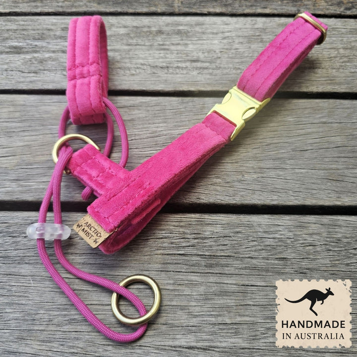 Hot Pink Luxury Velvet Complete Training Halter