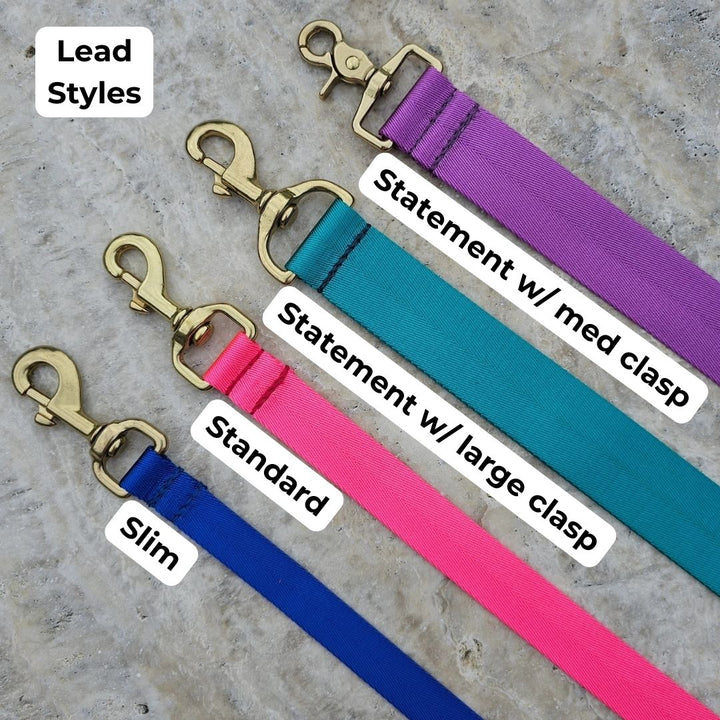 Chocolate Adventure Lead