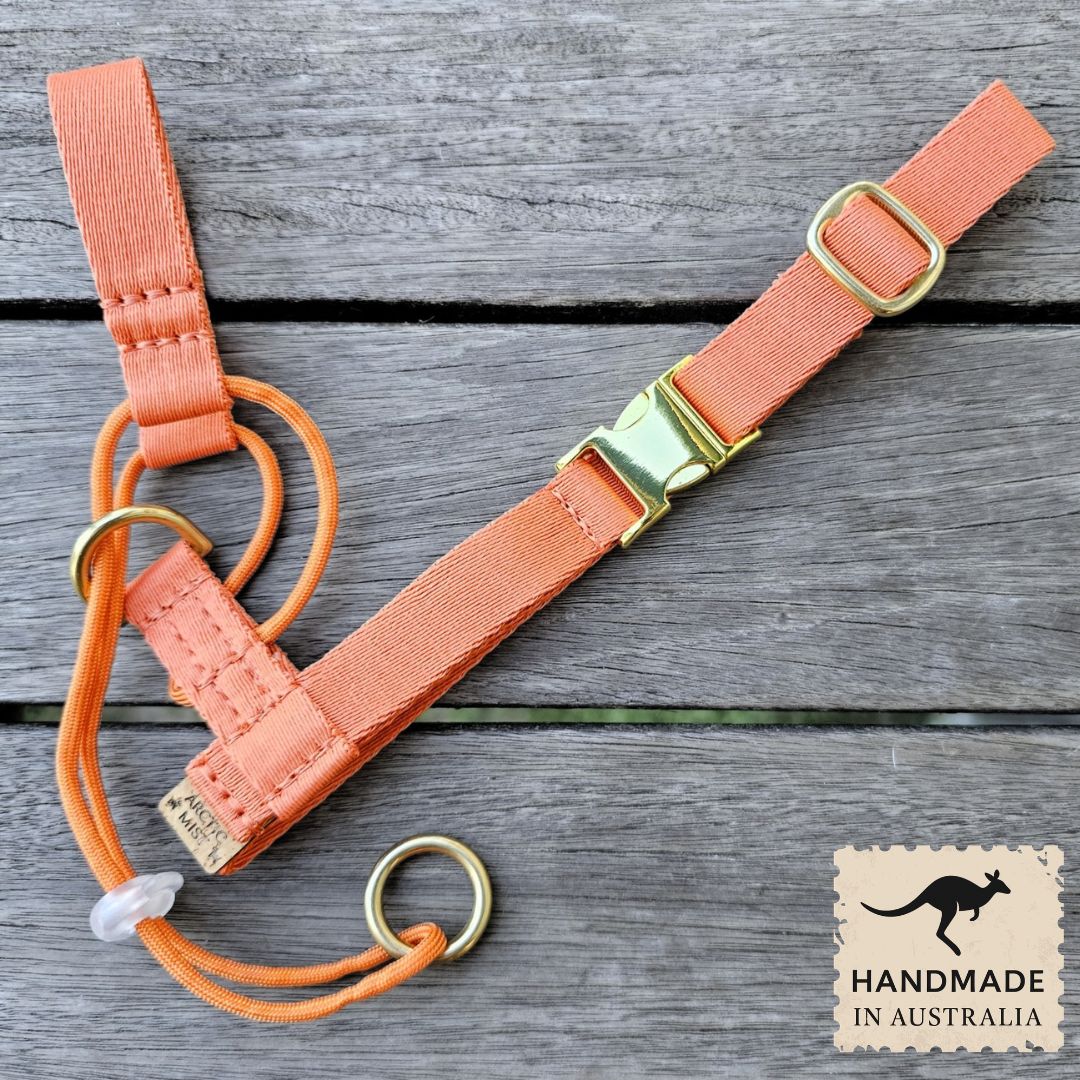 Tangerine Sunset Complete Adventure Training Halter