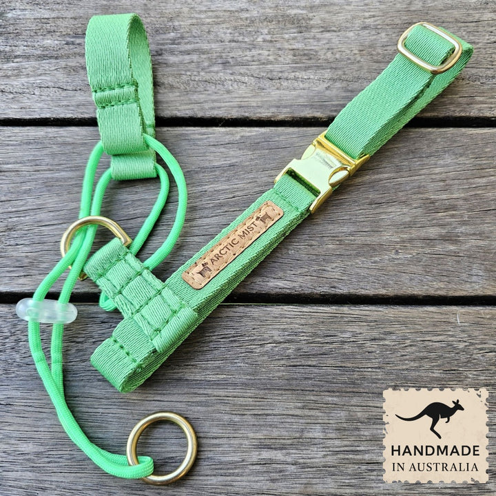 Emerald Green Complete Adventure Training Halter