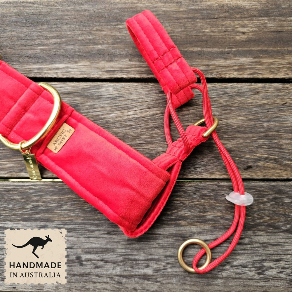 luxury red velvet dog buckle collar head halter halti