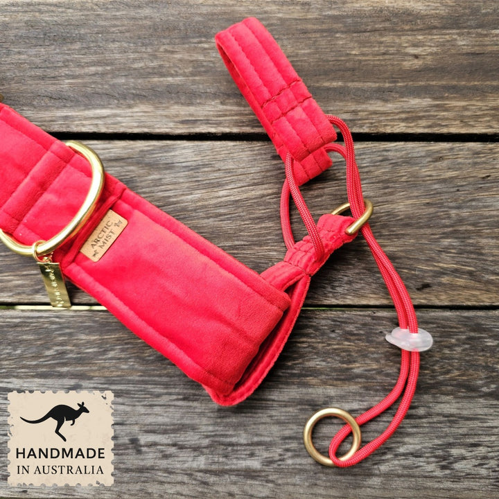 luxury red velvet dog buckle collar head halter halti