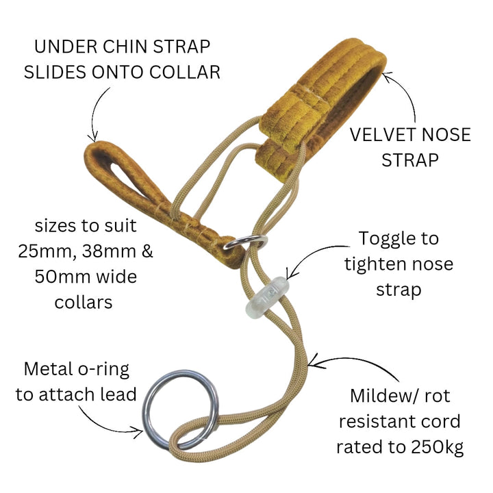 Champagne Velvet Head Halter Attachment (sample)