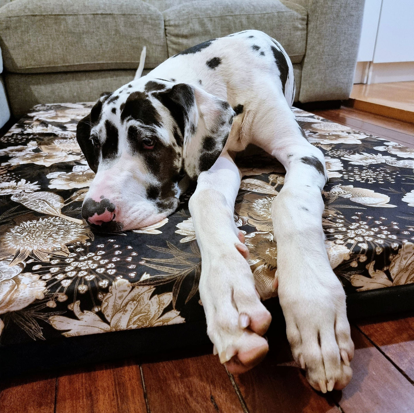 Large Luxury Orthopedic Dog Bed