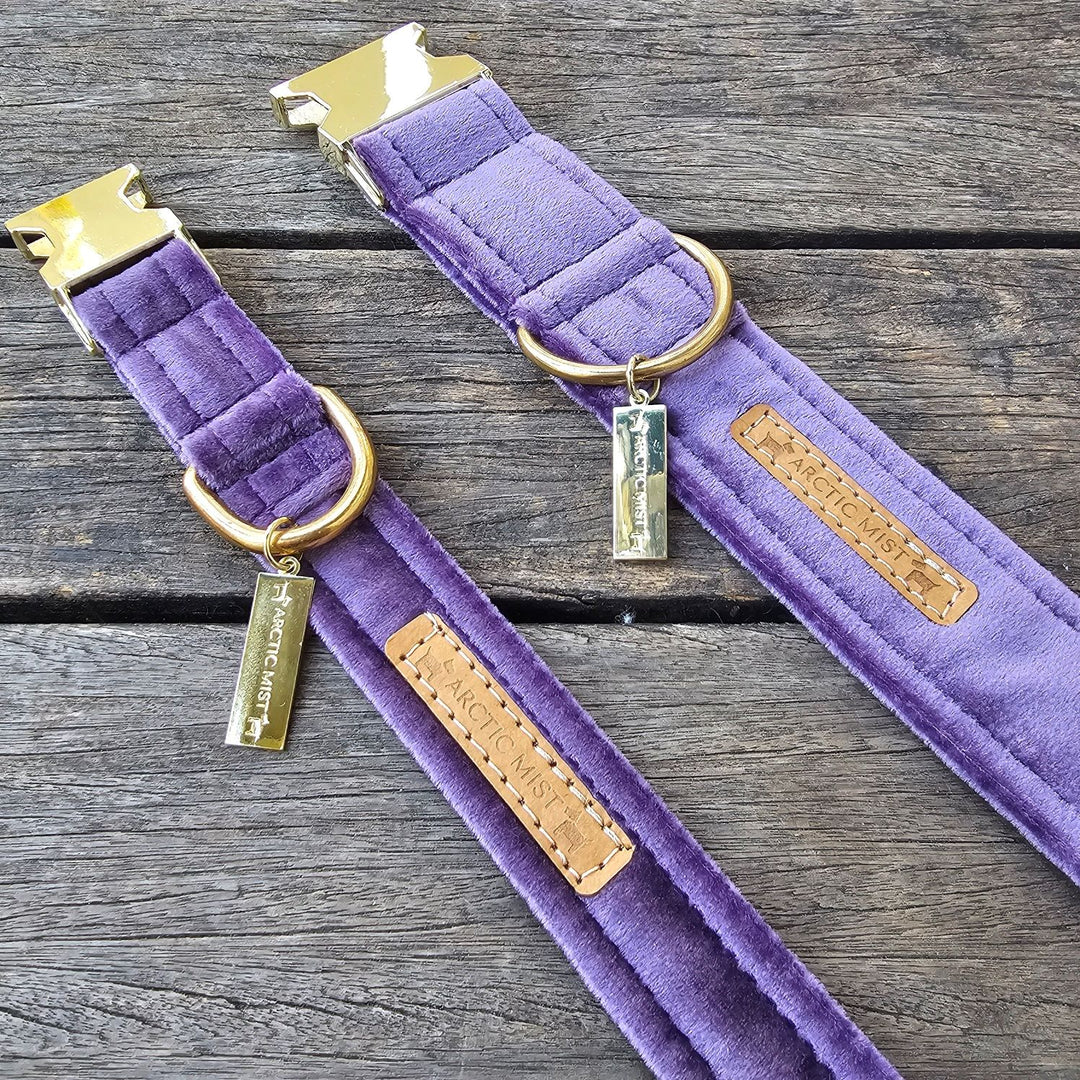African Violet (Purple) Luxury Velvet Buckle Collar