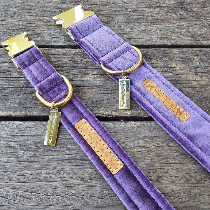African Violet (Purple) Luxury Velvet Buckle Collar
