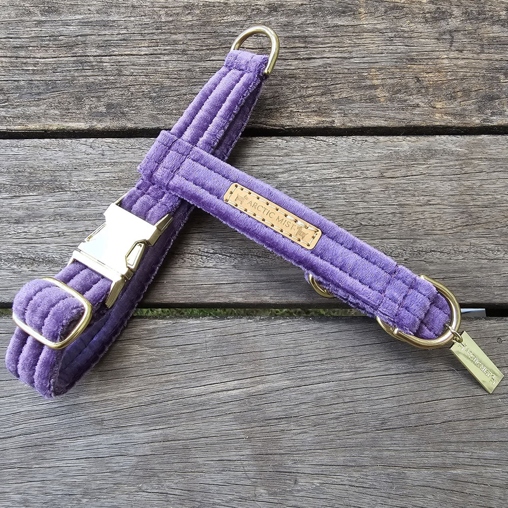 little dog toy breed handmade velvet harness