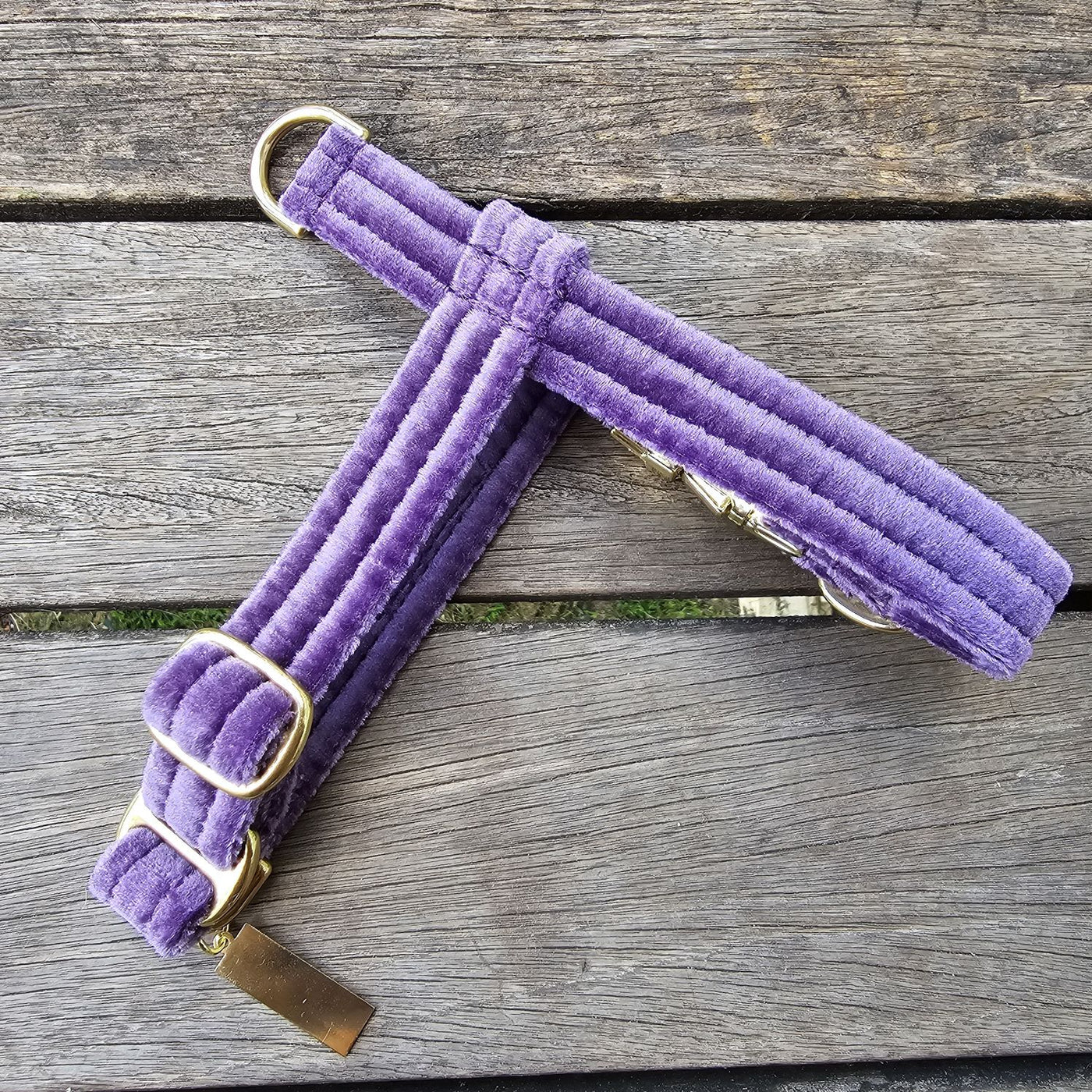 little dog toy breed handmade velvet harness