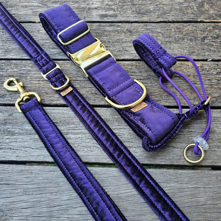 Dark Purple Luxury Velvet Collar, Halter & Lead (one off sample)