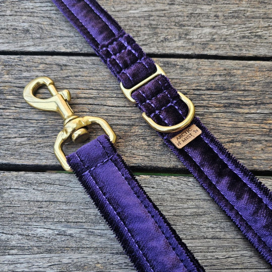 Dark Purple Luxury Velvet Collar, Halter & Lead (one off sample)