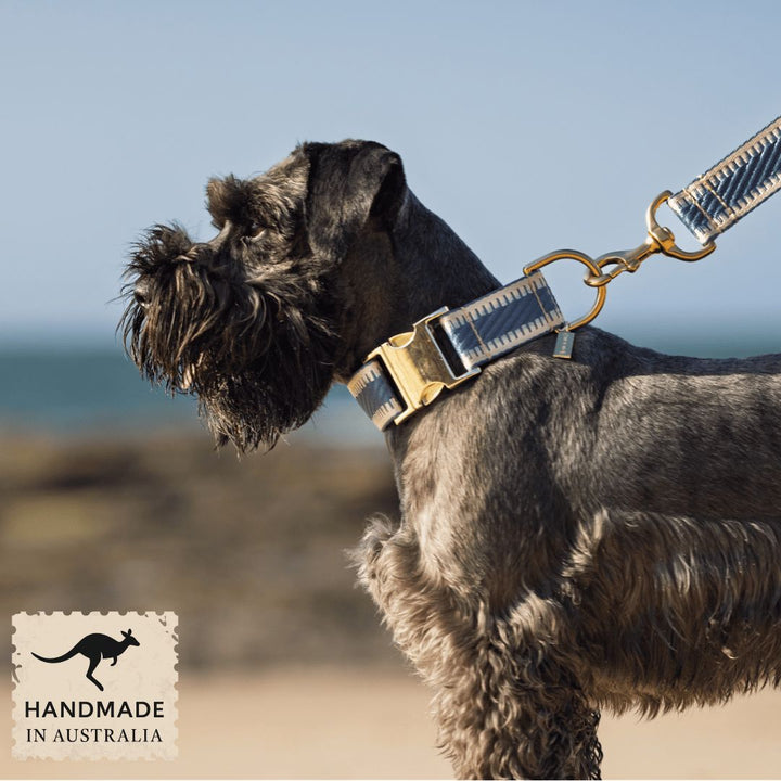 Storm Blue St Tropez Buckle Collar