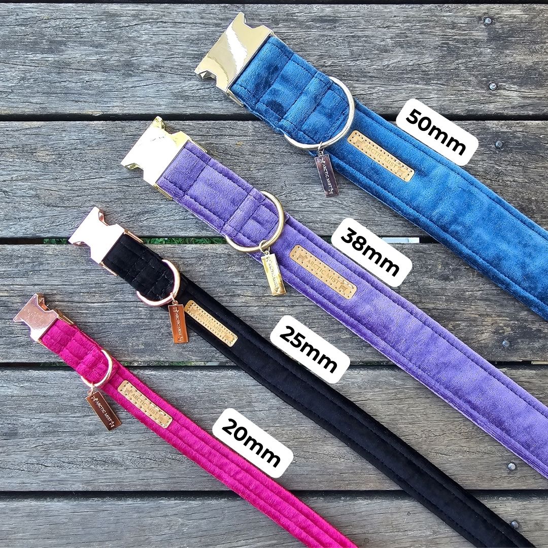 Teal Luxury Velvet Buckle Collar