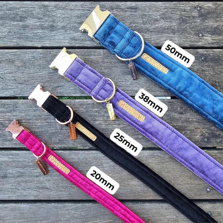 Teal Luxury Velvet Buckle Collar