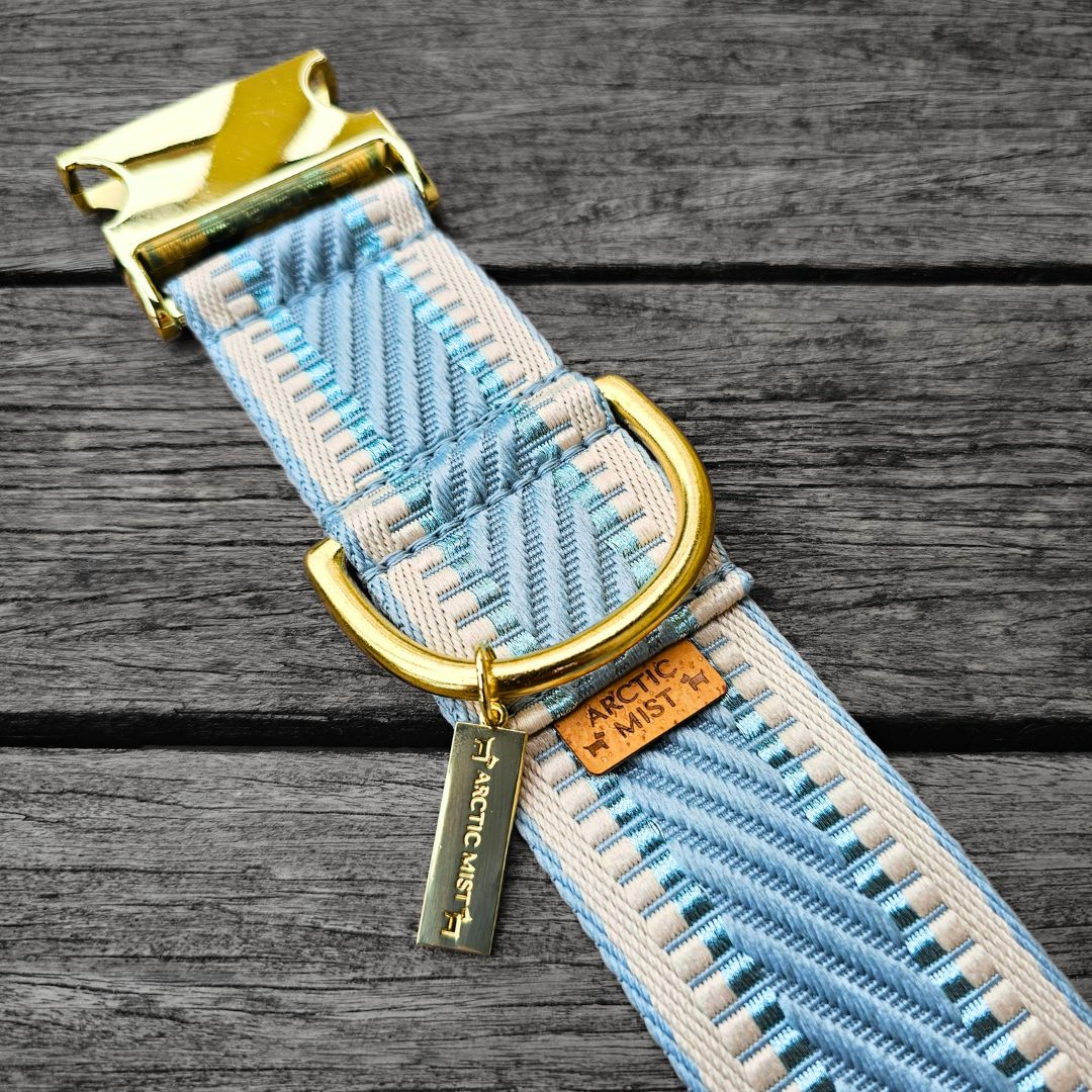 Sky Blue St Tropez Buckle Collar