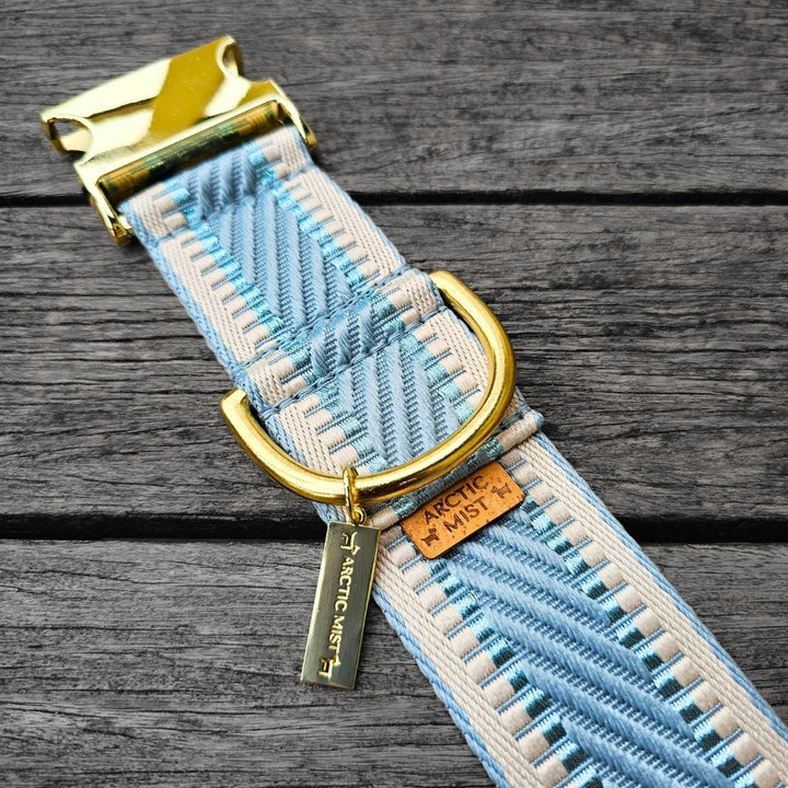 Sky Blue St Tropez Buckle Collar