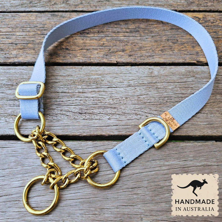 Sky Blue Adventure Chain Martingale Collar