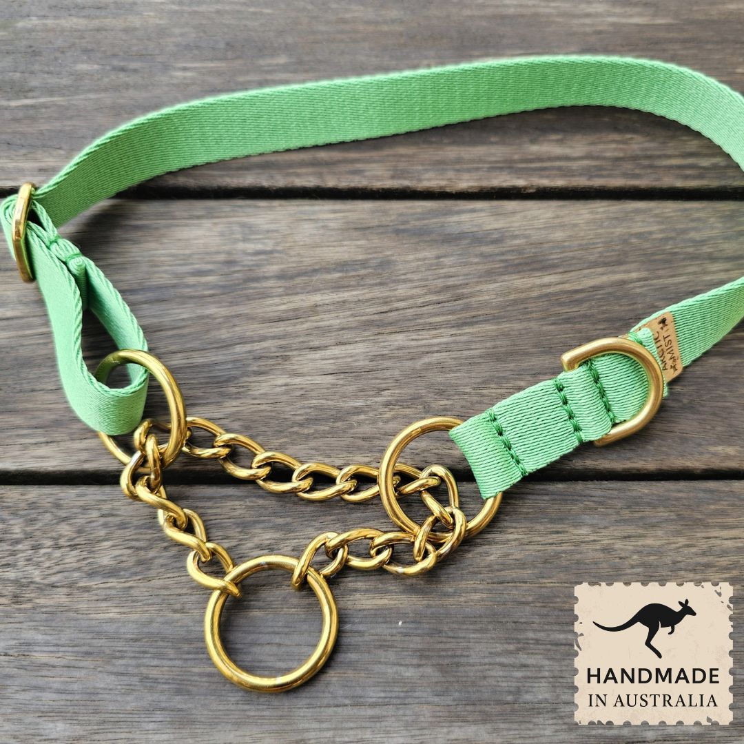 Emerald Green Adventure Chain Martingale Collar