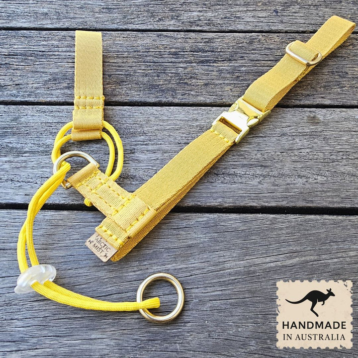 Bumblebee Yellow Complete Adventure Training Halter