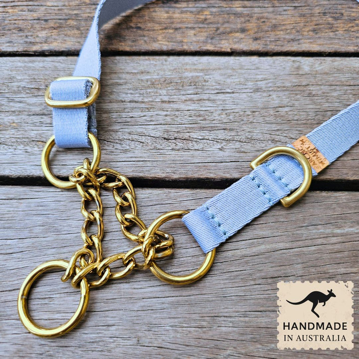 Sky Blue Adventure Chain Martingale Collar