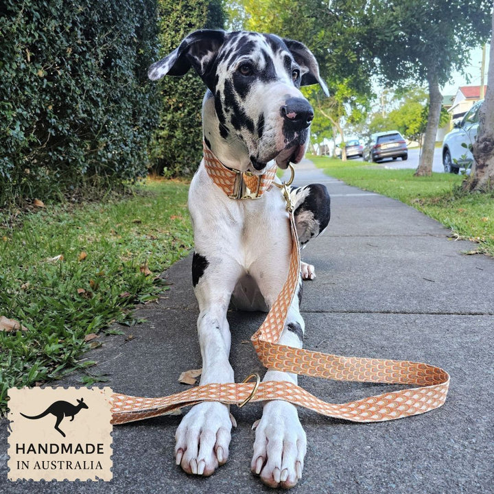 Tangerine Sunset Monte Carlo Statement Lead