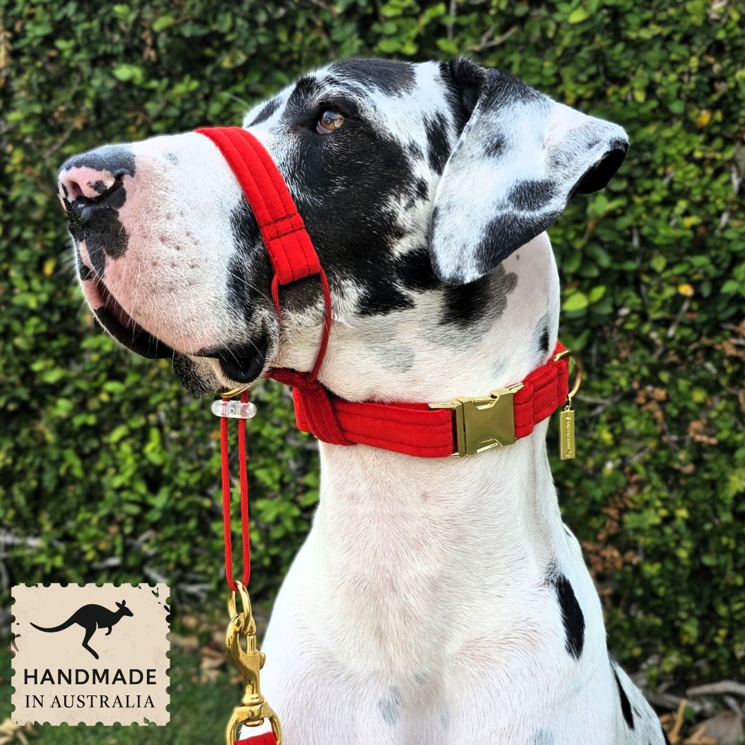 luxury red velvet dog buckle collar head halter halti