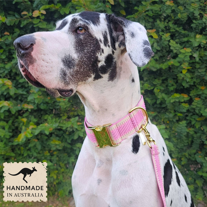 Candy Pink St Tropez Buckle Collar