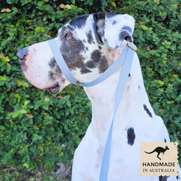 Sky Blue Adventure Slip Halter