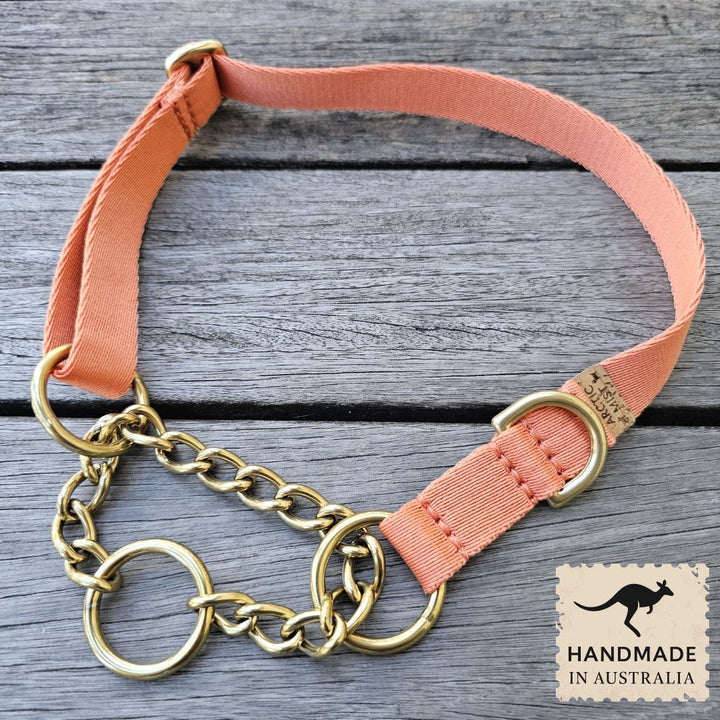 Tangerine Sunset Adventure Chain Martingale Collar