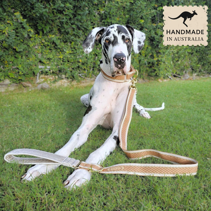 Caramel Latte St Tropez Statement Lead (Samples)