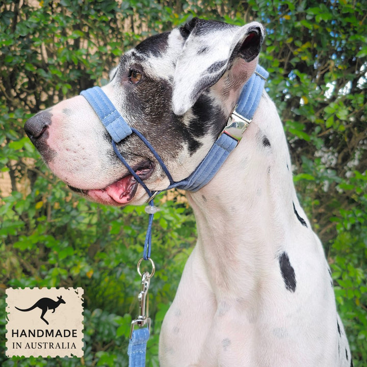 Storm Blue Luxury Velvet Complete Training Halter