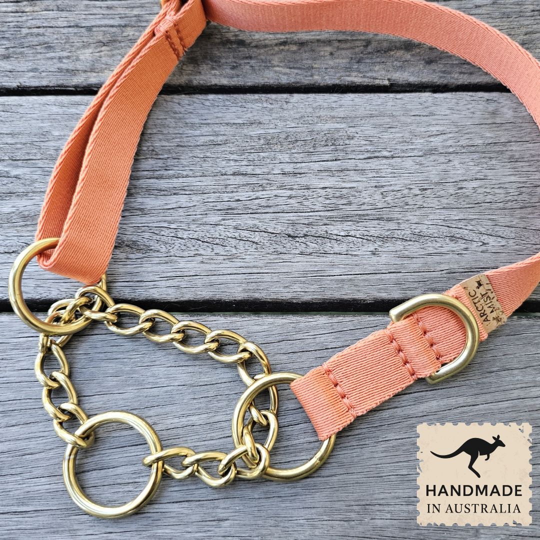 Tangerine Sunset Adventure Chain Martingale Collar